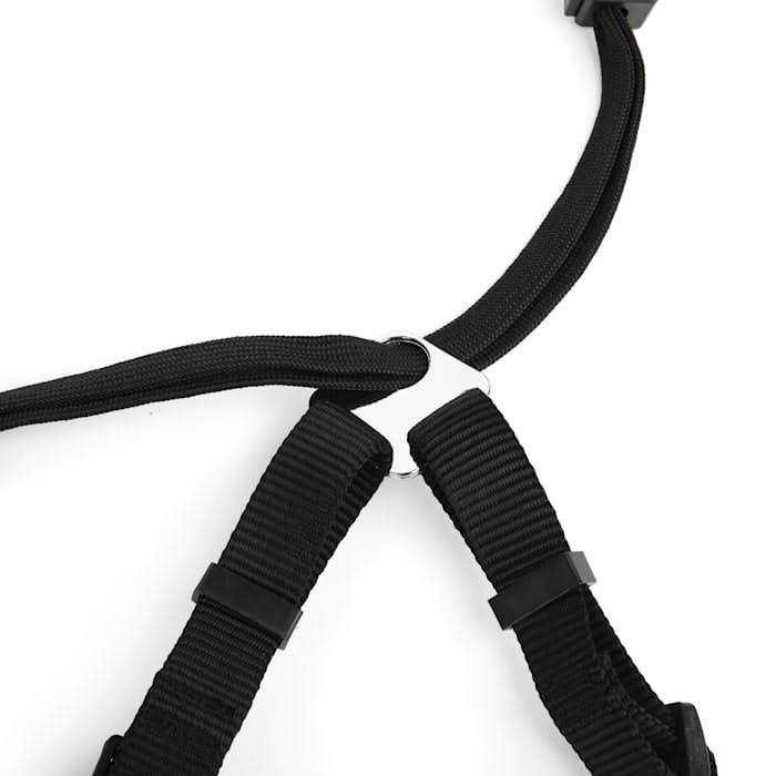 EveryYay Embrace The Pace Black No Pull Dog Harness - Nail Gallerys