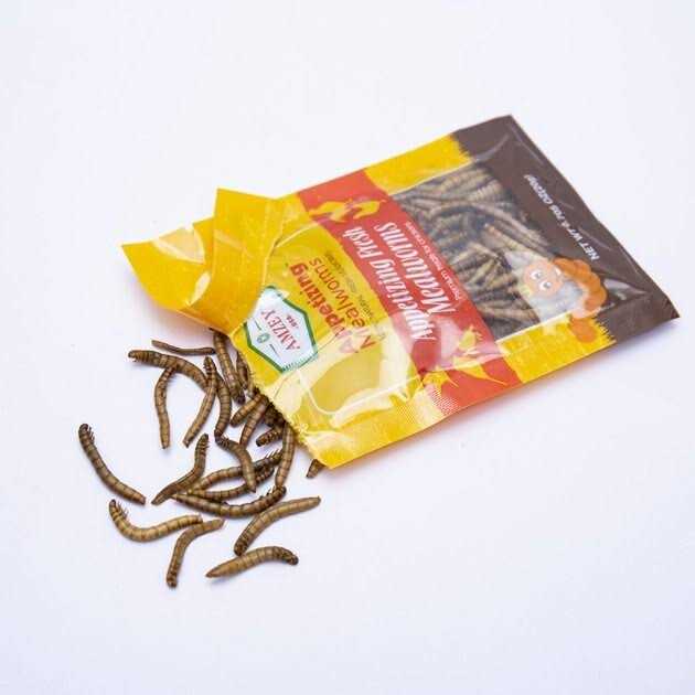 Amzey Appetizing Fresh Mealworms Treats - Nail Gallerys