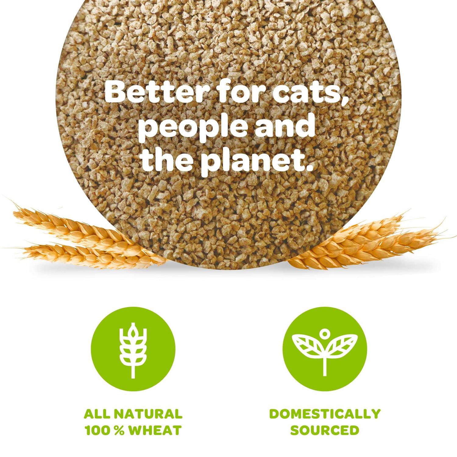 sWheat Scoop Cat Litter - Nail Gallerys