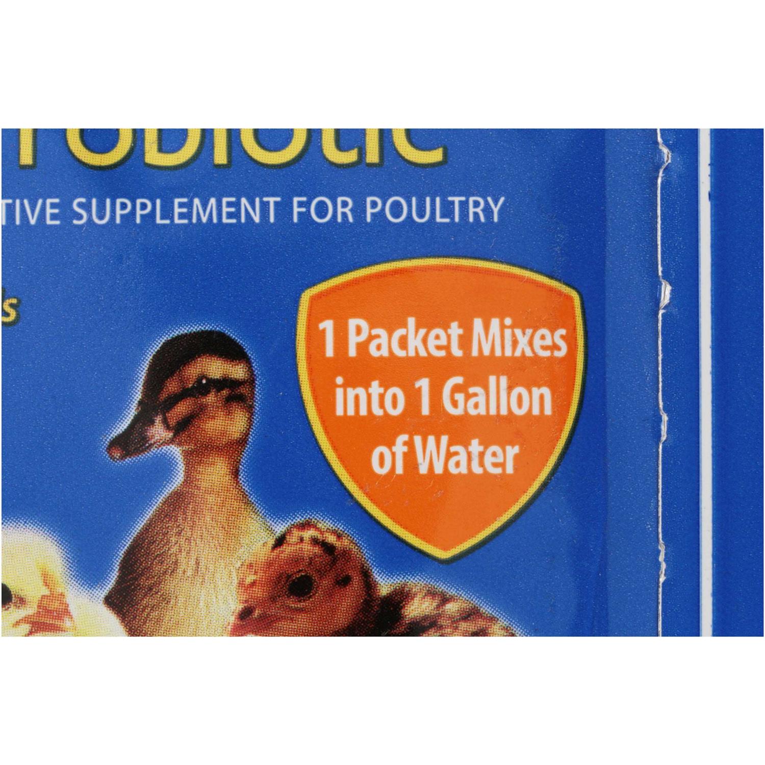 Sav-A-Chick Probiotic Supplement - Nail Gallerys