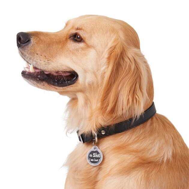 GoTags Anodized Aluminum Personalized Silencer Dog & Cat ID Tag - Nail Gallerys