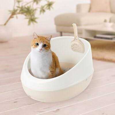 Richell PAW Trax Rimmed Cat Litter Pan - Nail Gallerys