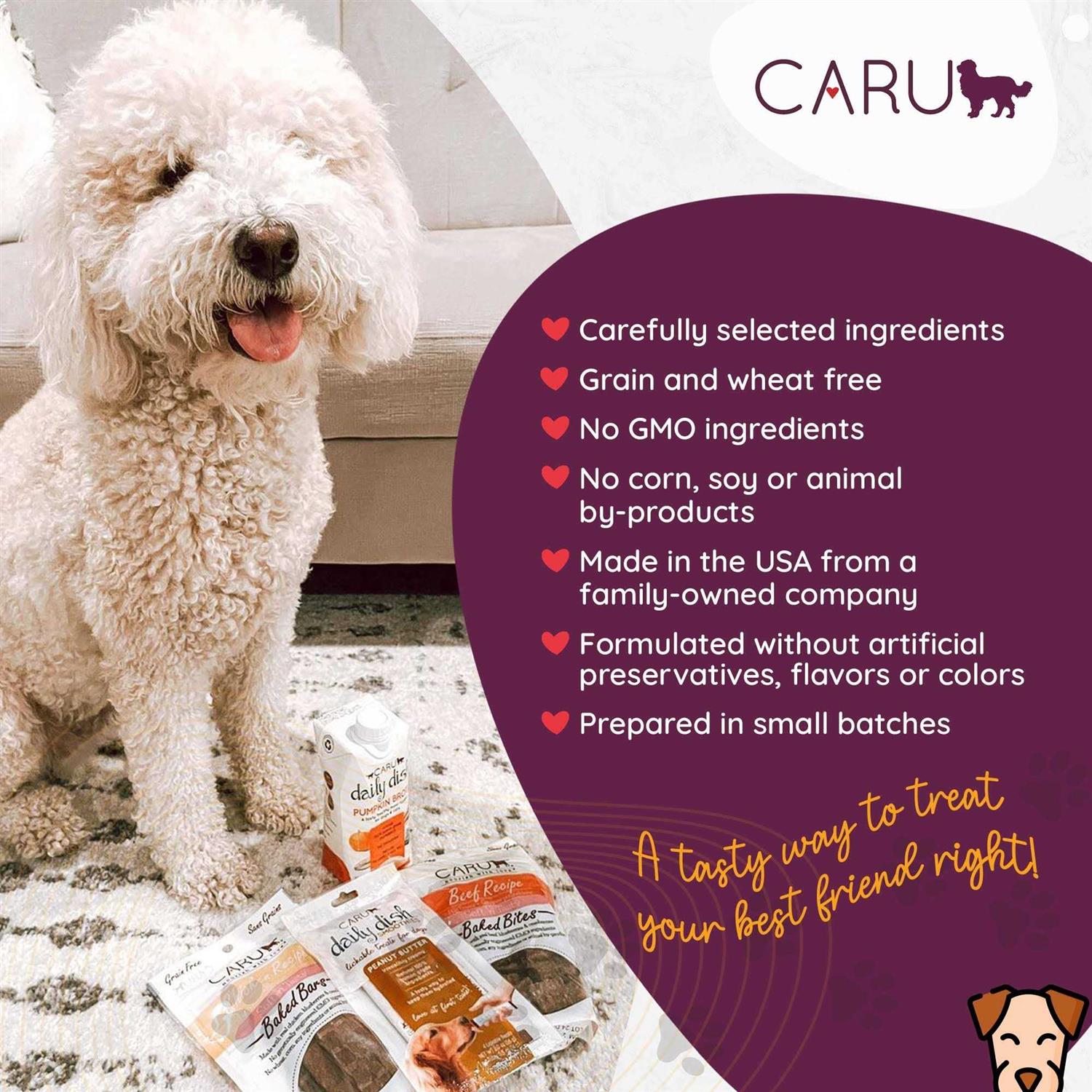 Caru Soft ‘n Tasty Baked Bites Recipe Dog Treats - Nail Gallerys