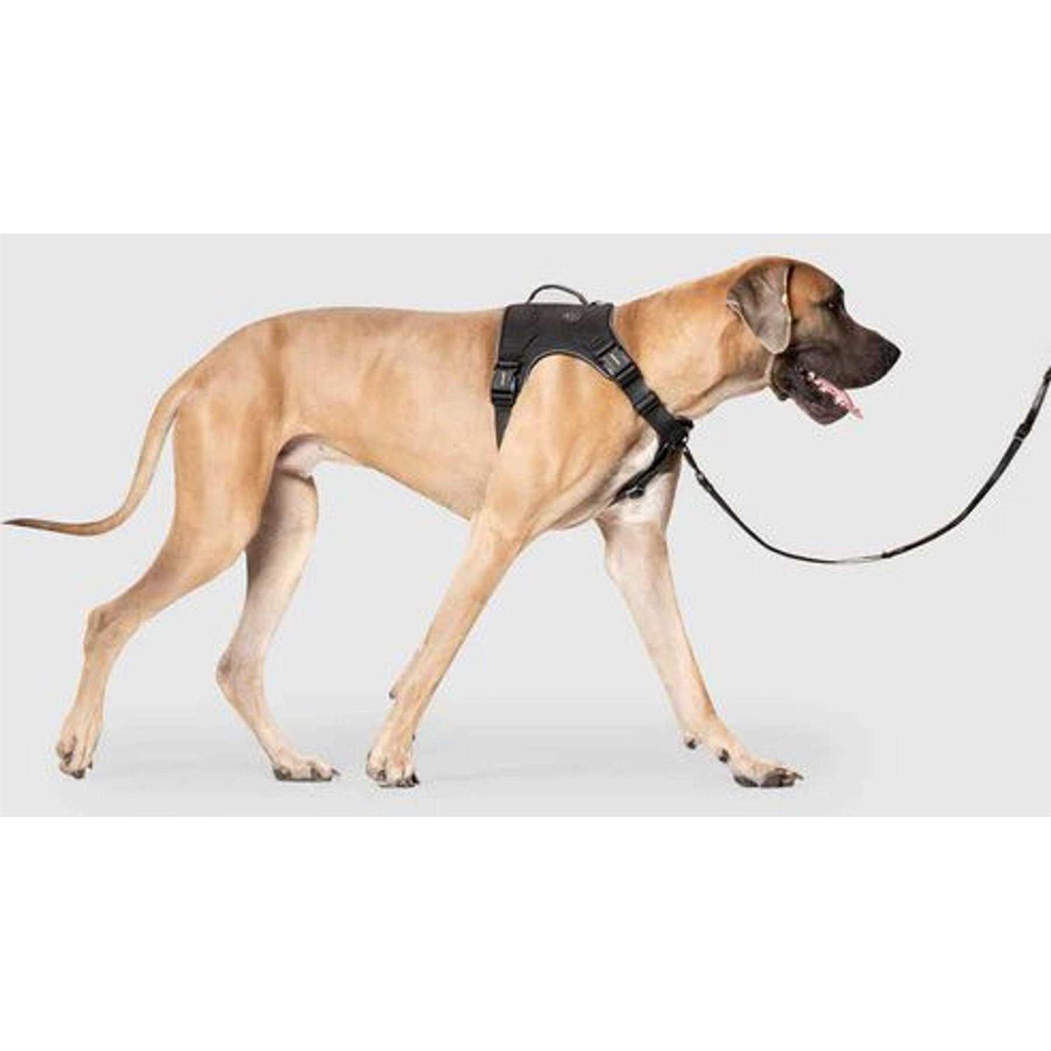 Canada Pooch Complete Control Dog Harness - Nail Gallerys