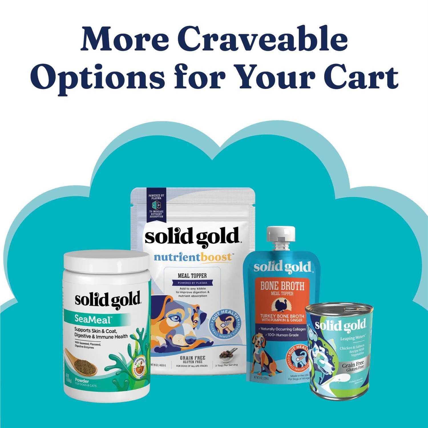 Solid Gold Holistique Blendz Oatmeal Fish Dry Dog Food - Nail Gallerys