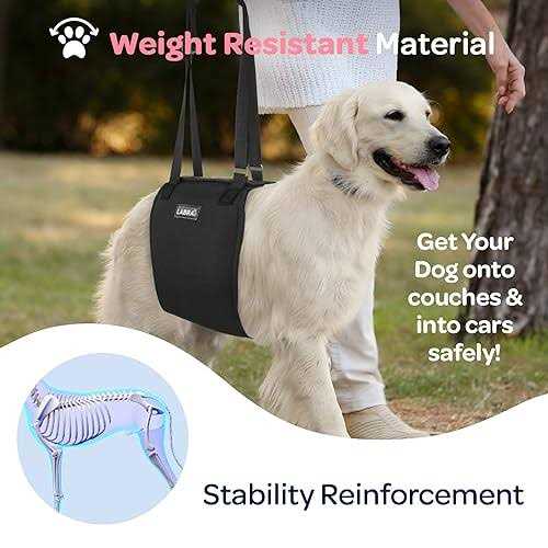 Labra Veterinarian Approved Dog Canine K9 Sling Lift Adjustable Straps Support Harness Helps with Loss of Stability Caused by Joint Injuries and - Nail Gallerys
