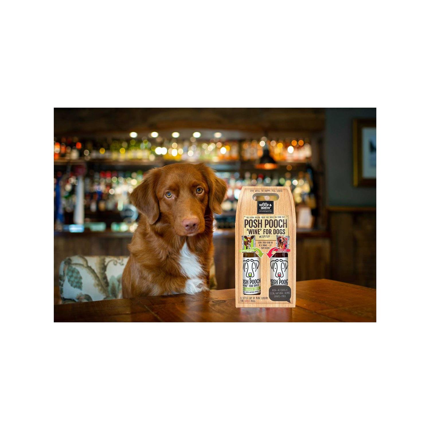 American Pet Supplies Posh Pooch Dog Wine Duo Pack - Nail Gallerys