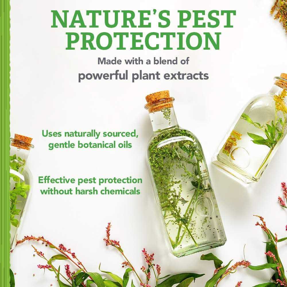 Natural Care Flea and Tick Carpet Powder Flea Treatment for Rugs, Carpet, or Pet Bedding - Nail Gallerys