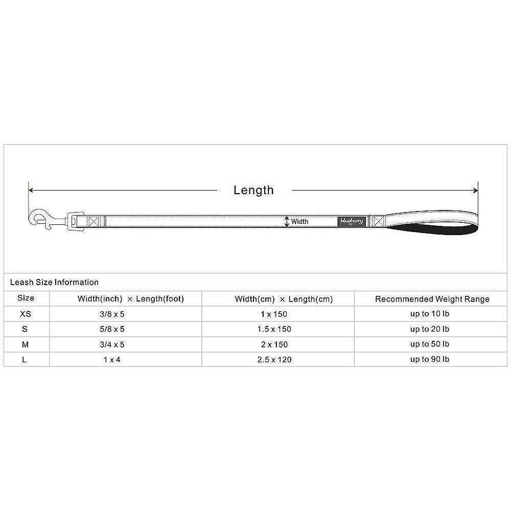 Blueberry Pet Classic Dog Leash - Nail Gallerys