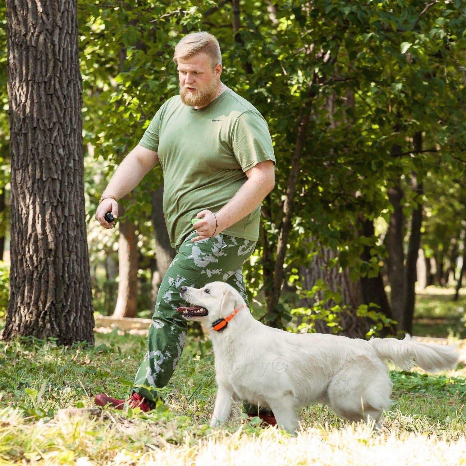 PetSpy Dual Dog Training Shock Collar for 2 Dogs with Beep Vibration and ELECTR - Nail Gallerys