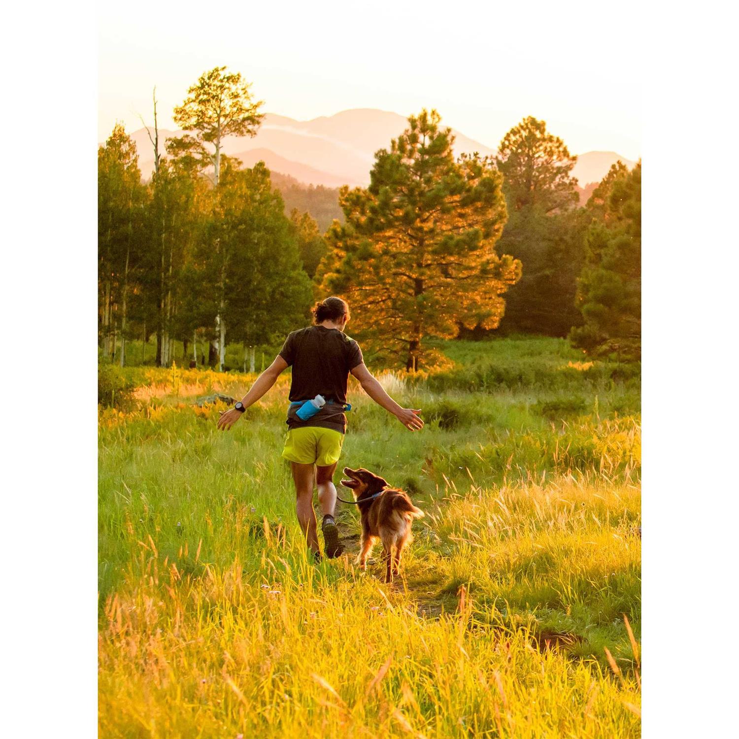 Ruffwear Trail Runner System - Nail Gallerys