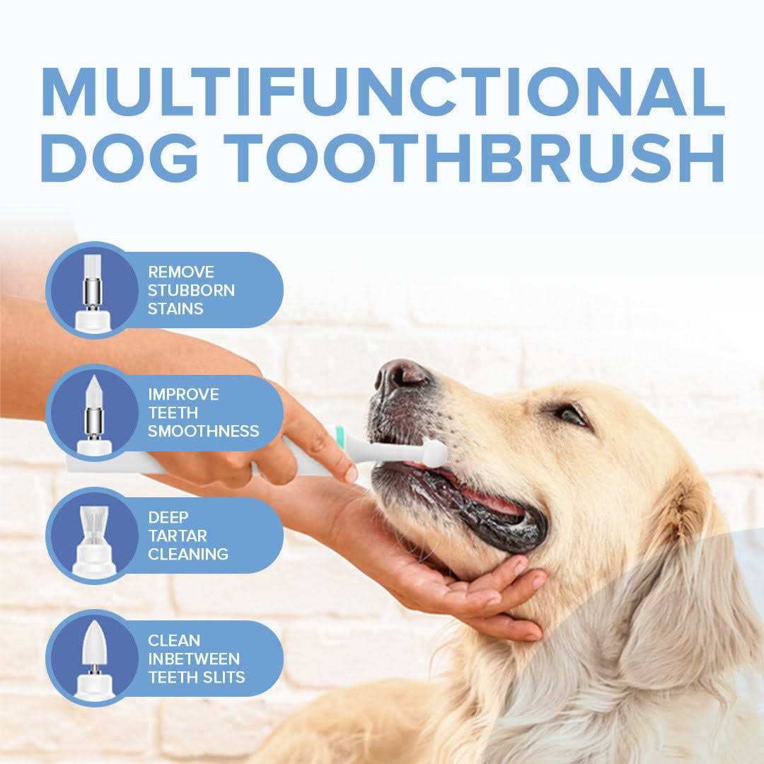 PupsDream Electric Toothbrush for Dogs with Specialized Brush Heads Colour - Nail Gallerys