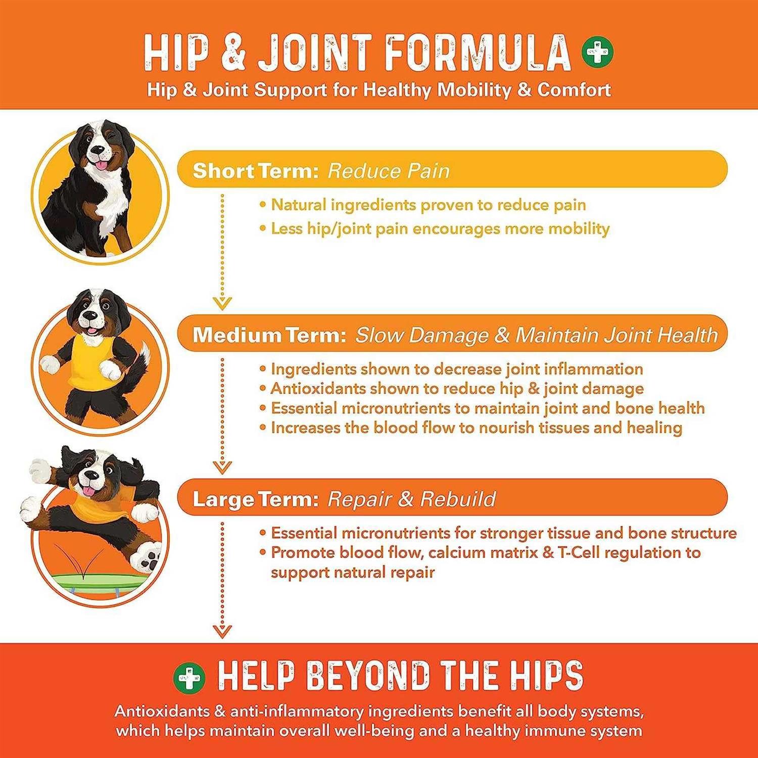 Bernie’s Healthy Hips Daily Dog Hip and Joint Supplement - Nail Gallerys