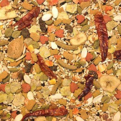 Higgins Vita Seed California Blend Parrot Food - Nail Gallerys