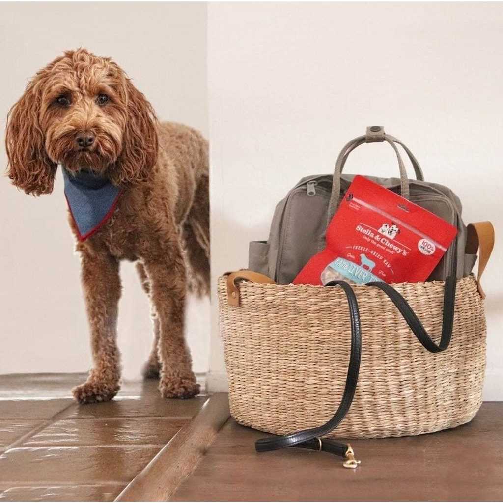 Stella & Chewy’s Beef Freeze Dried Dog Treats - Nail Gallerys