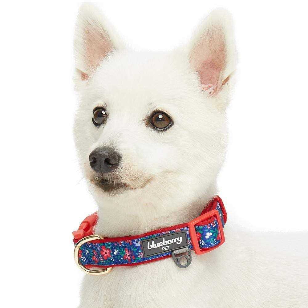 Blueberry Pet Dog Collar - Nail Gallerys