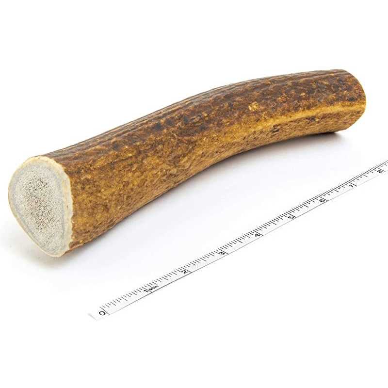 Devil Dog Pet Co Antler Dog Chew Premium Elk Antlers for Dogs Long Lasting Dog Bones for Aggressive Chewers - Nail Gallerys