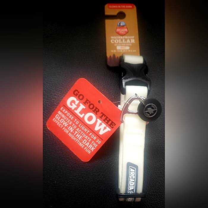 Arcadia Trail Glow Waterproof Stink-Free Dog Collar - Nail Gallerys