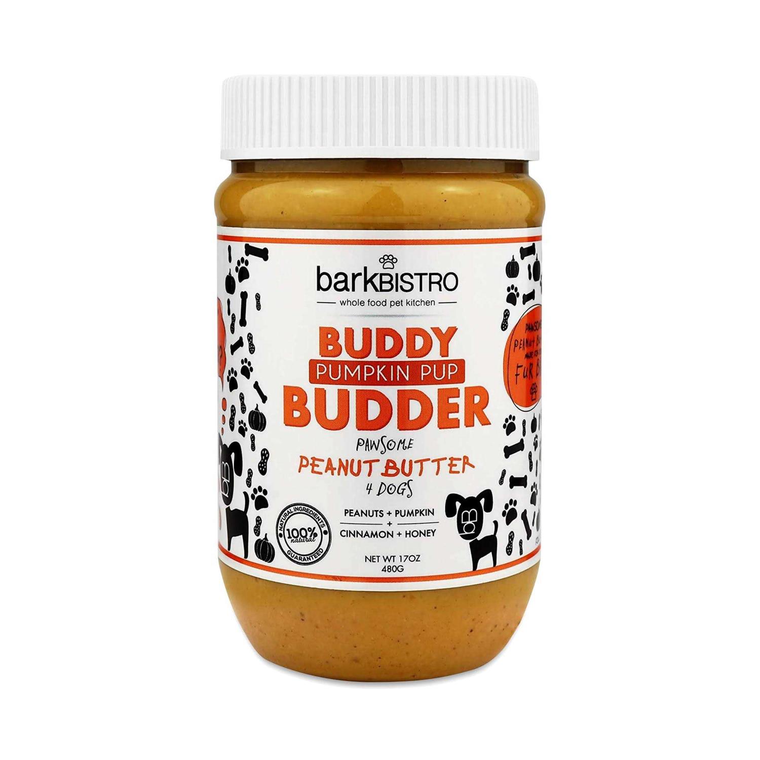 Bark Bistro Pumpkin Pup Buddy Budder - Nail Gallerys