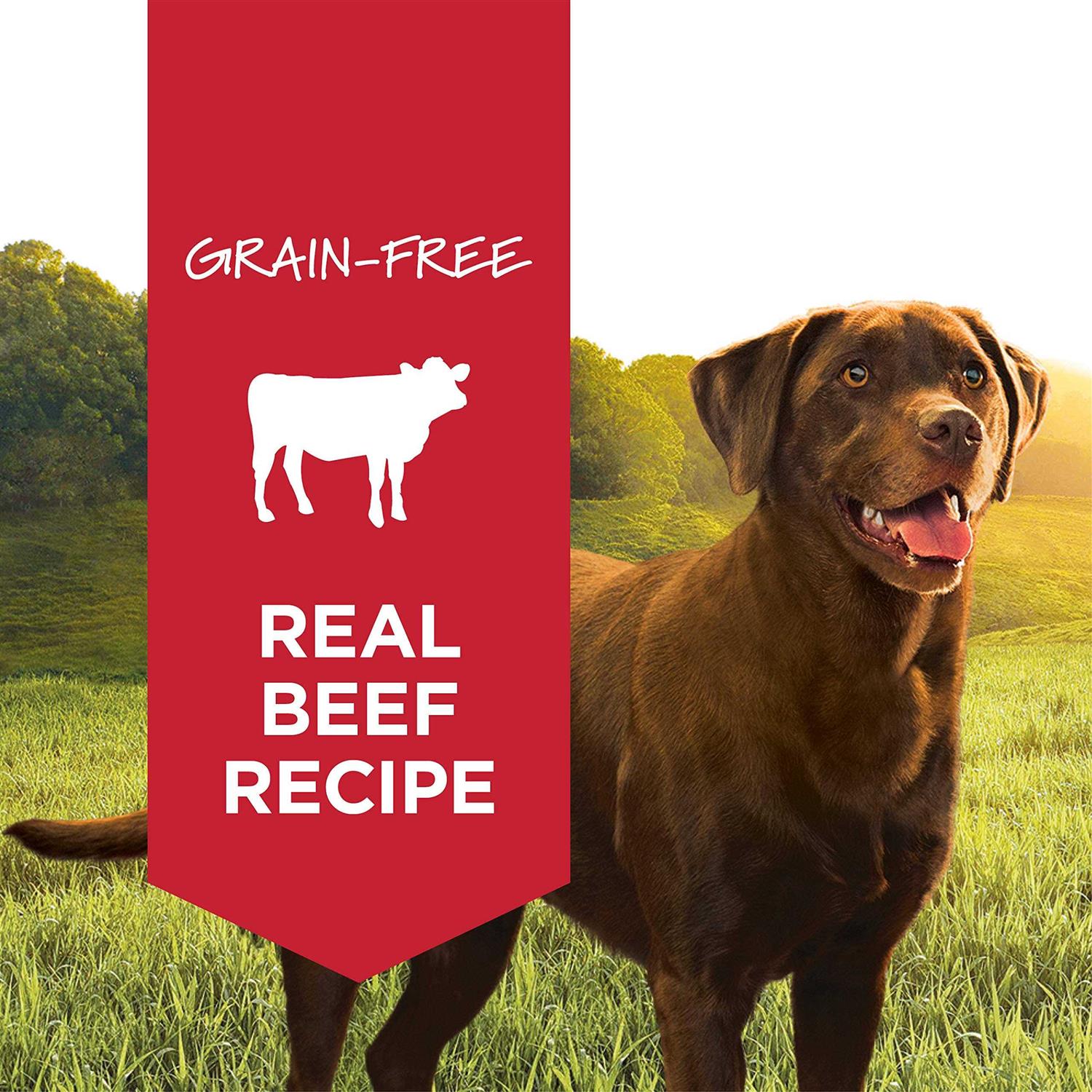 Instinct Grain-Free Beef Formula Canned Dog Food - Nail Gallerys