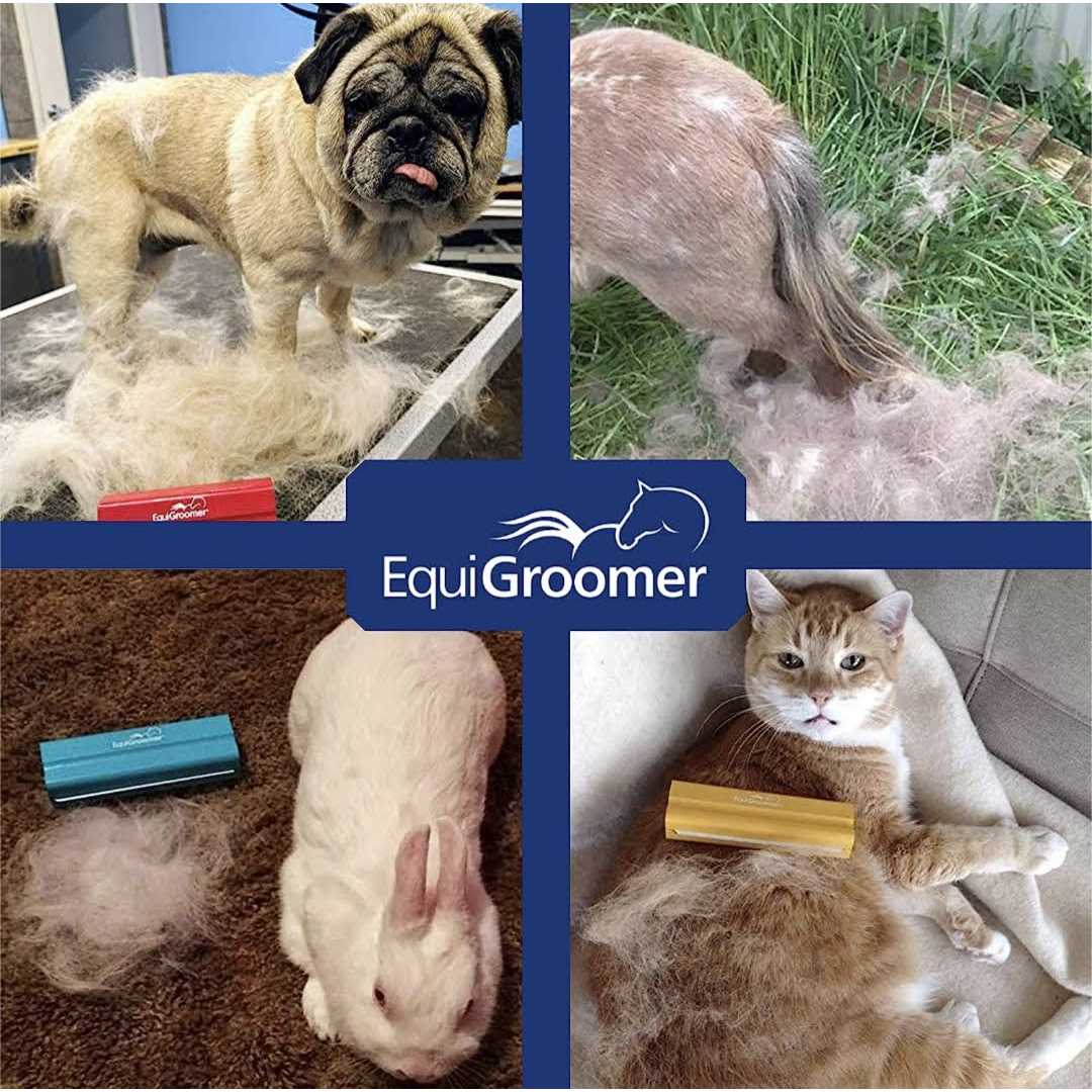 EquiGroomer Deshedding Brush for Horses Undercoat Tool for Large Pets With Short and Long Hair - Nail Gallerys