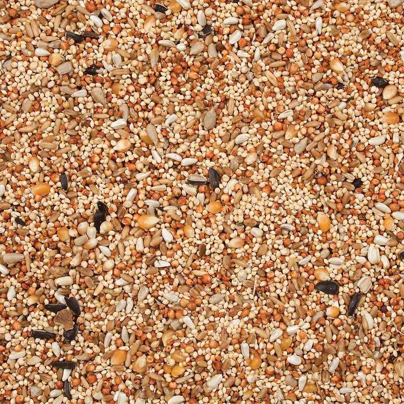 Wild Delight Dove Quail Food - Nail Gallerys