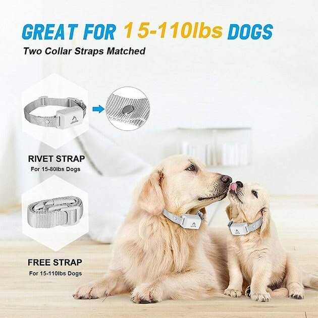PATPET A01 Anti-Bark Training Dog Collar - Nail Gallerys