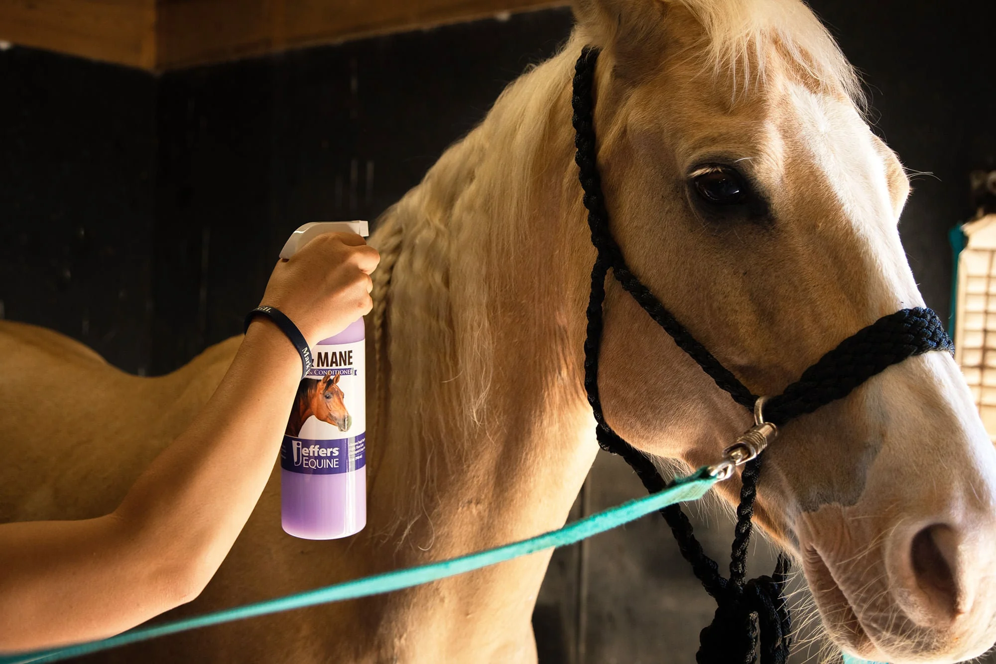 Equine Tail & Mane Detangler & Conditioner for Horses - Nail Gallerys