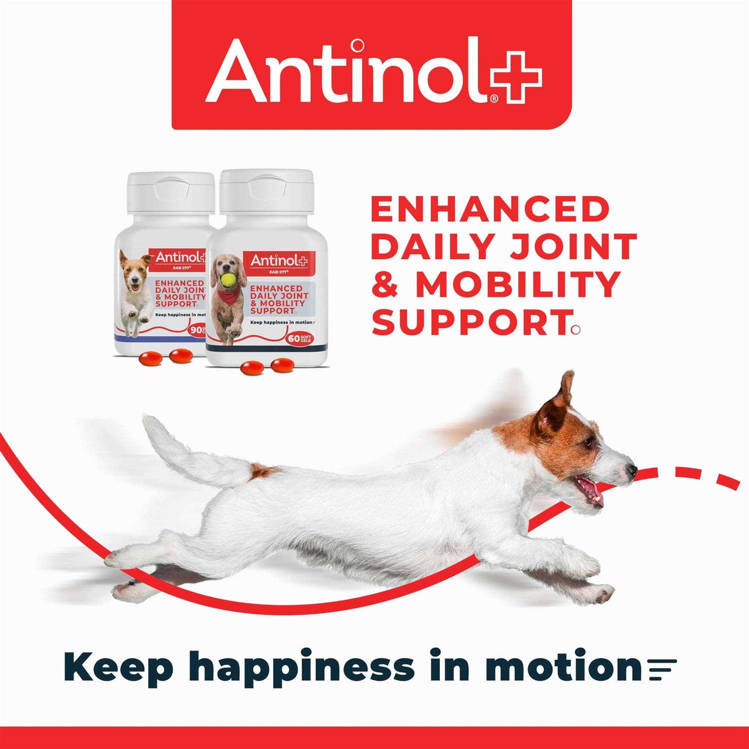 Antinol Plus 60ct - Nail Gallerys