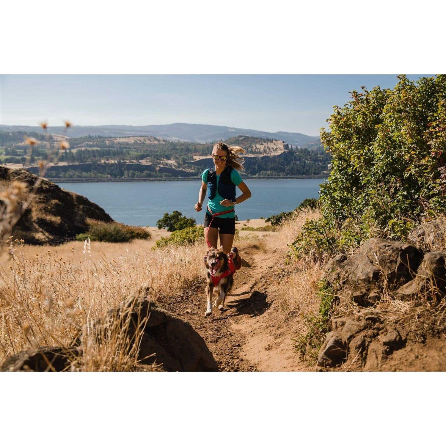 Ruffwear Switchbak Harness - Nail Gallerys