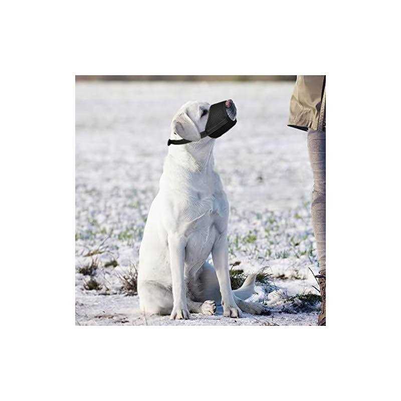 HEELE Dog Muzzle,Soft Nylon Muzzle Anti Biting Barking Chewing,Air Mesh Breathable Drinkable Adjustable Loop Pets Muzzle for Small Medium Large Dogs - Nail Gallerys