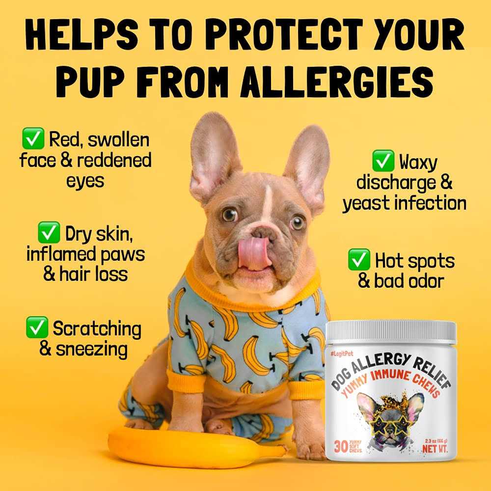 Legitpet Allergy Relief Chews for Dogs & Immune Support with Kelp Colostrum & Bee Pollen - Nail Gallerys