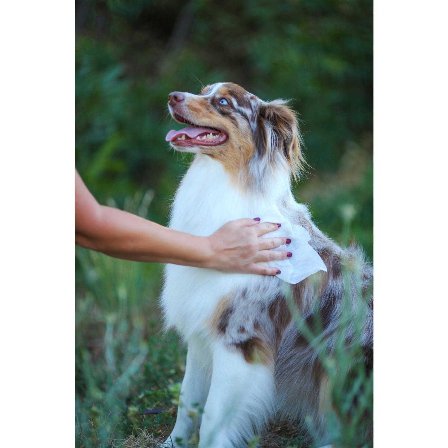 Earthbath Oatmeal Aloe Grooming Wipes - Nail Gallerys