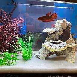 JIH Aquarium Fish Tank ,Plastic , Decorations Decor Set 7 Pieces, Small and Large Artificial Fish Tank Plants with Cave Rock - Nail Gallerys