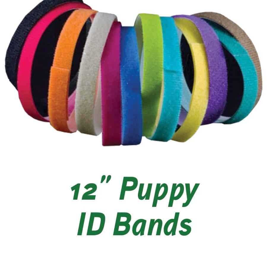 Puppies in Bloom Puppy ID Bands - Nail Gallerys