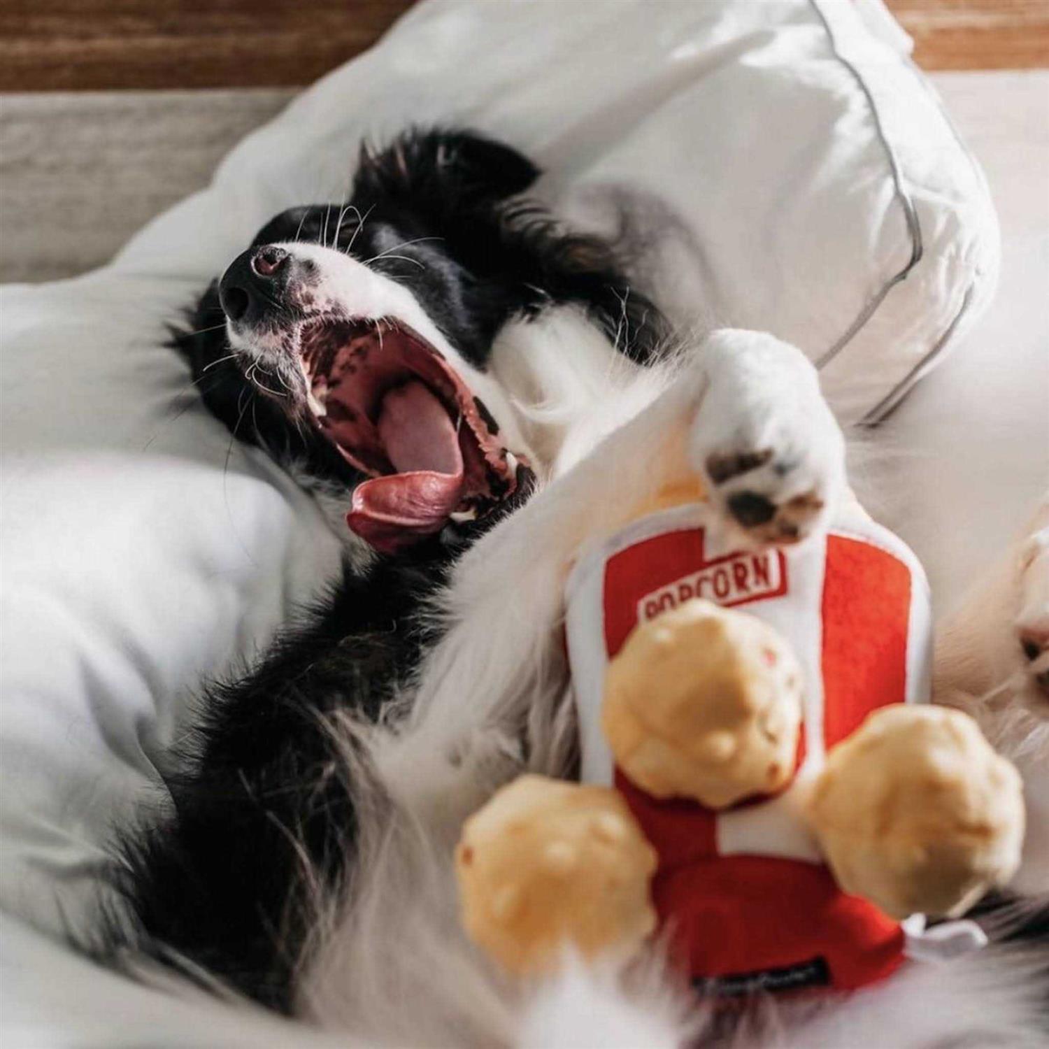 ZippyPaws Zippy Burrow Popcorn Bucket Dog Toy - Nail Gallerys