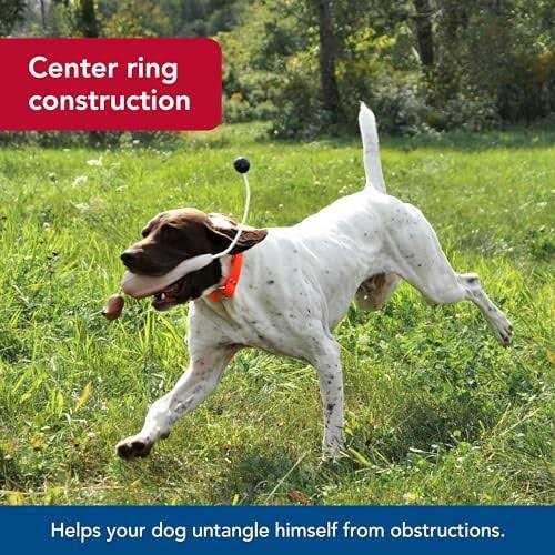 Water & Woods Waterproof Dog Collar - Nail Gallerys