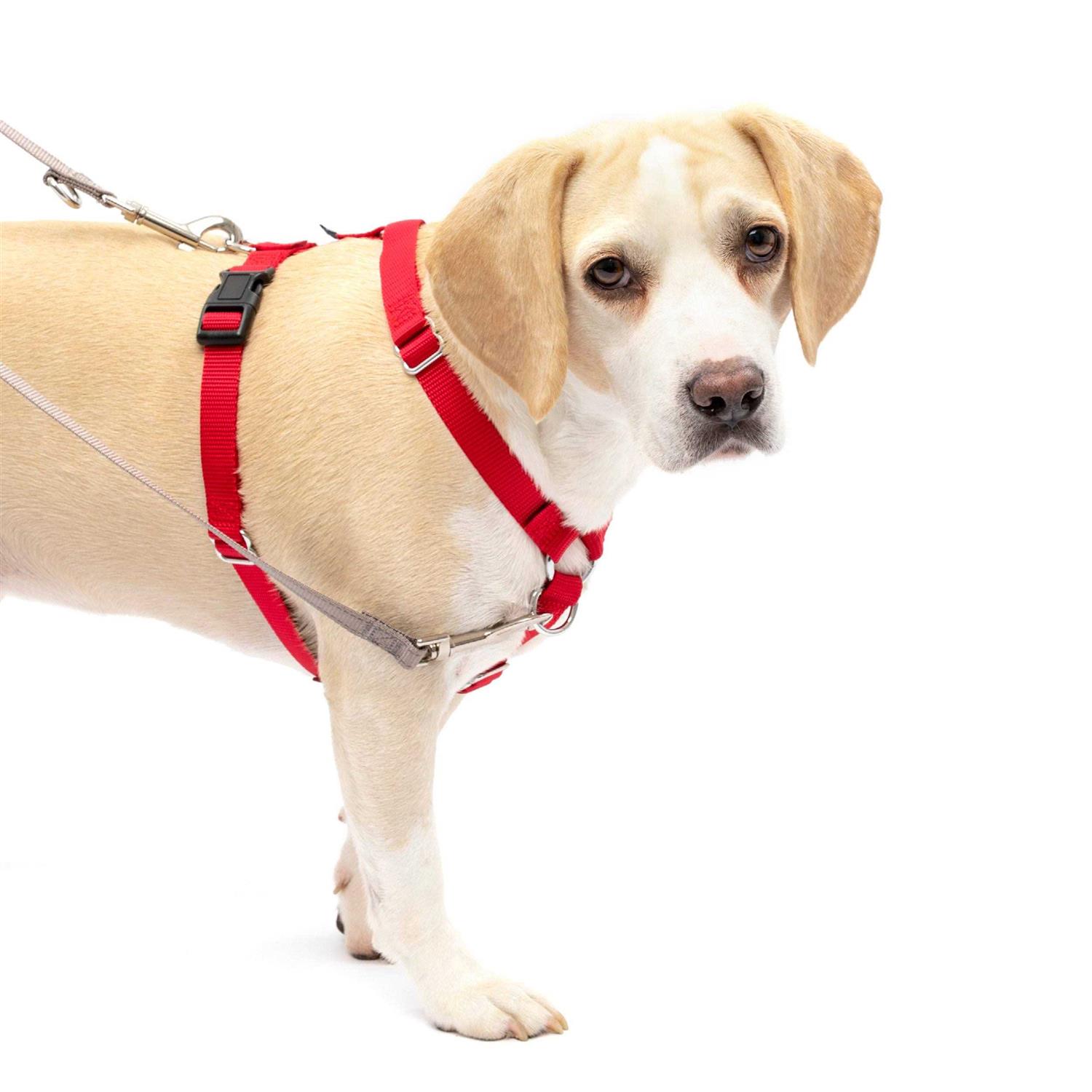 PetSafe Sure-Fit Harness - Nail Gallerys