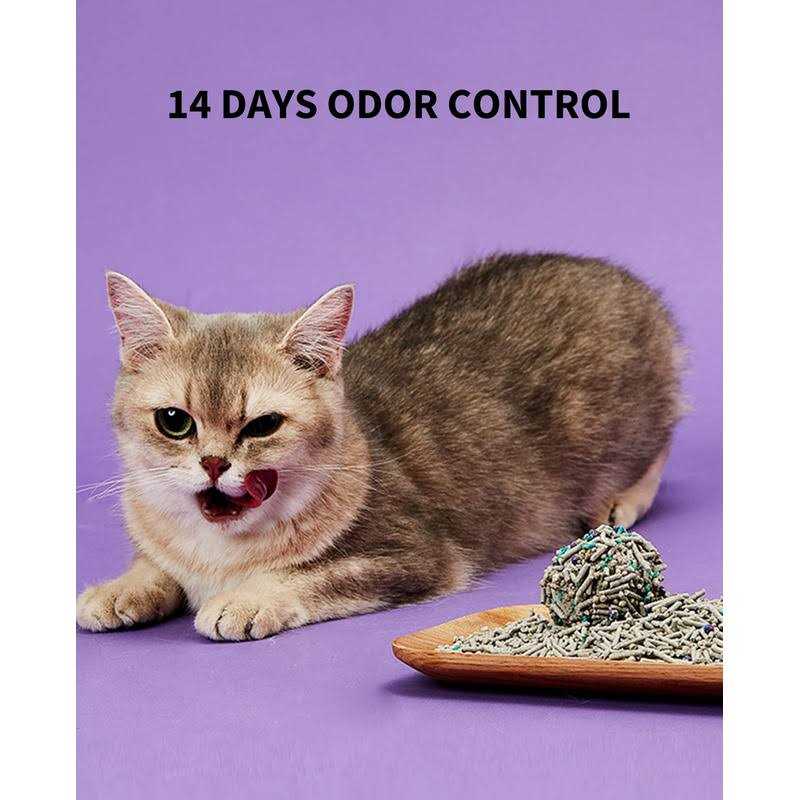 PETKIT everclean 5 in 1 Mixed Cat Litter,Strong Clumping Cat Litters,Odor Control and Unscented Ultra Absorbent Water flushab - Nail Gallerys