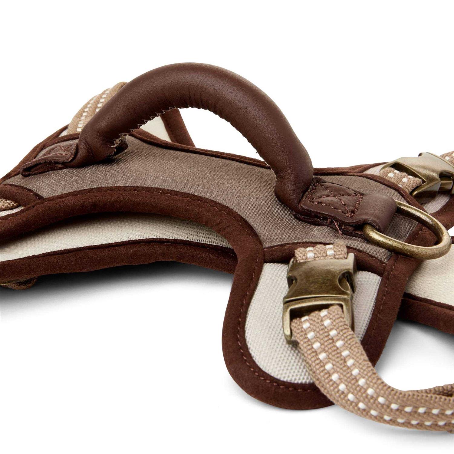 Reddy Canvas Dog Harness - Nail Gallerys