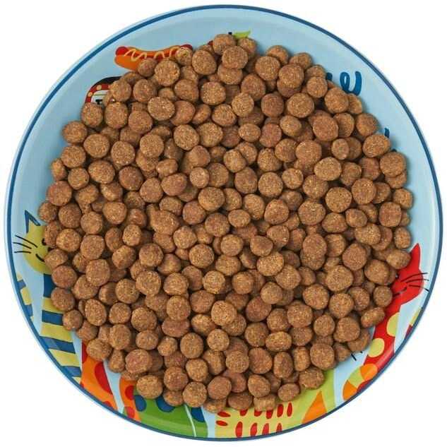 Frisco Non-skid Ceramic Cat Dish - Nail Gallerys
