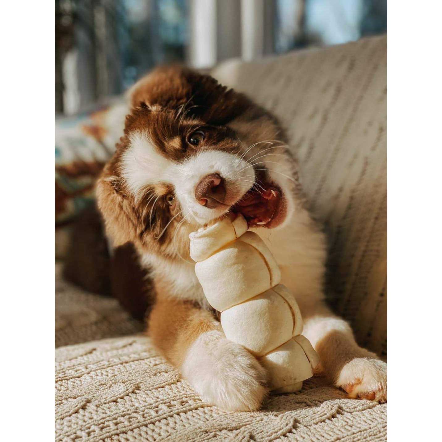 Redbarn Beef Cheek Roll Dog Large - Nail Gallerys