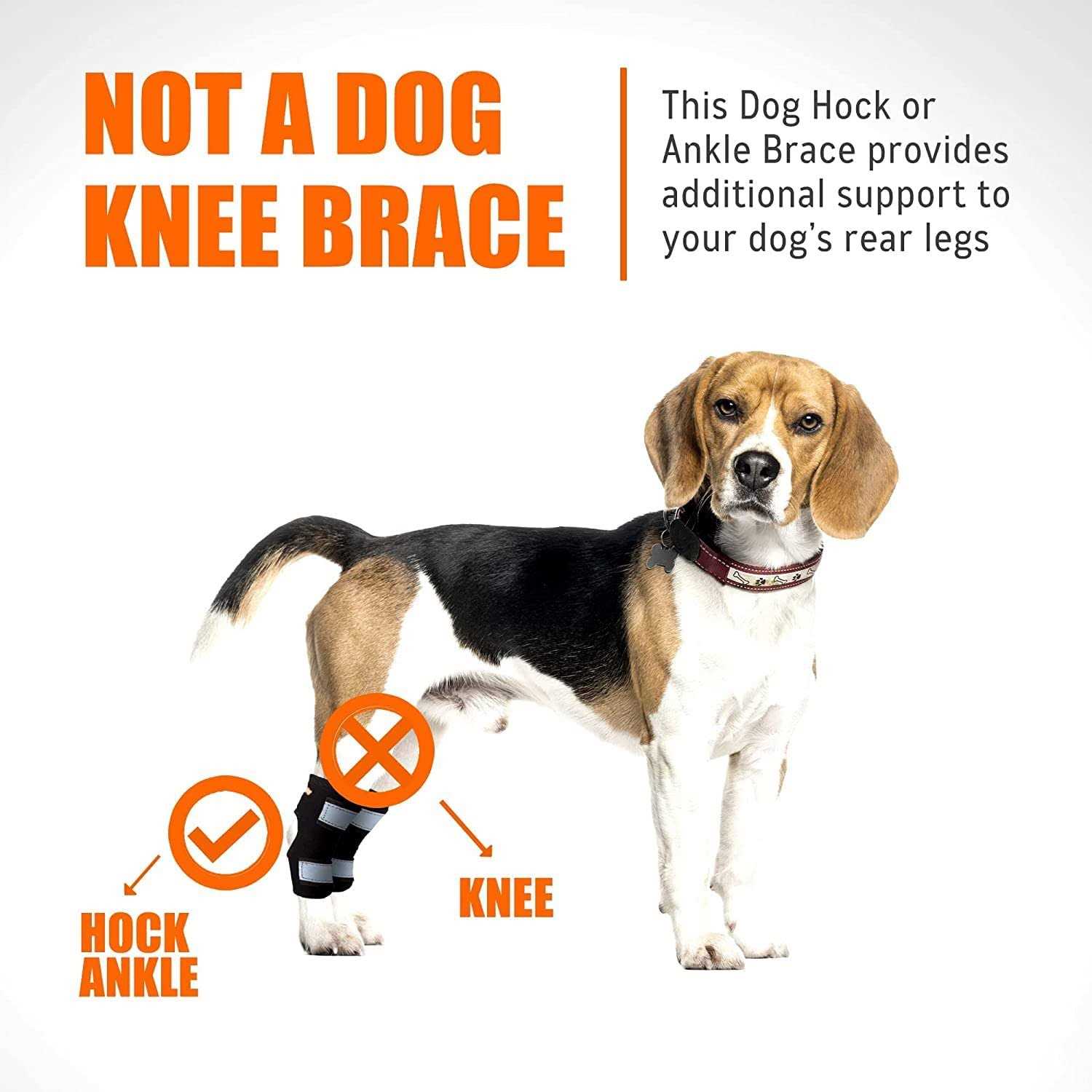 NeoAlly Dog Rear Leg Brace Canine Hock Ankle Support with Safety Reflective Straps for Hind Leg Wounds Heal and and - Nail Gallerys