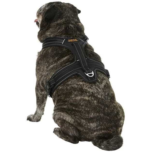 Mighty Paw Sport Harness No-Pull Front Attachment Dog Harness - Nail Gallerys
