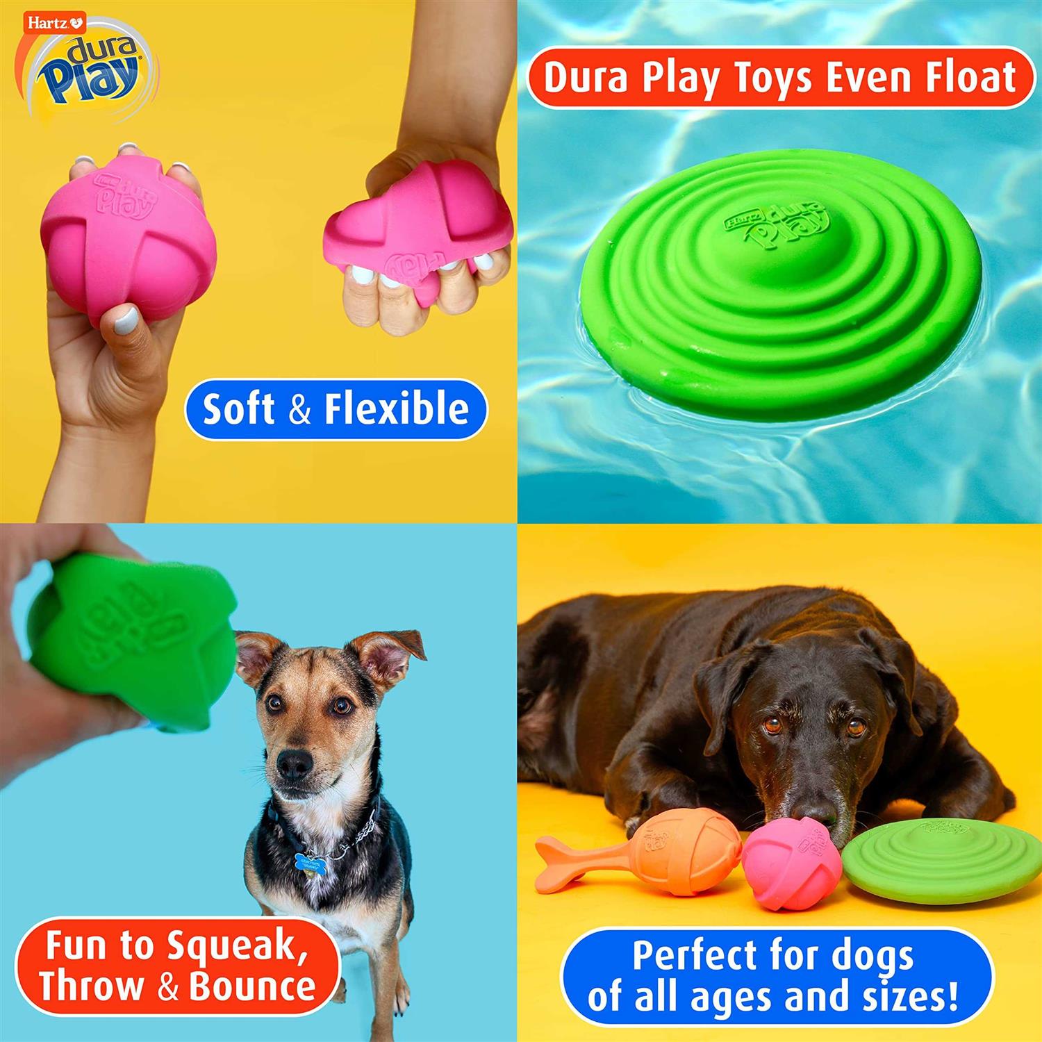 Hartz Dura Play Ball Dog Toy - Nail Gallerys