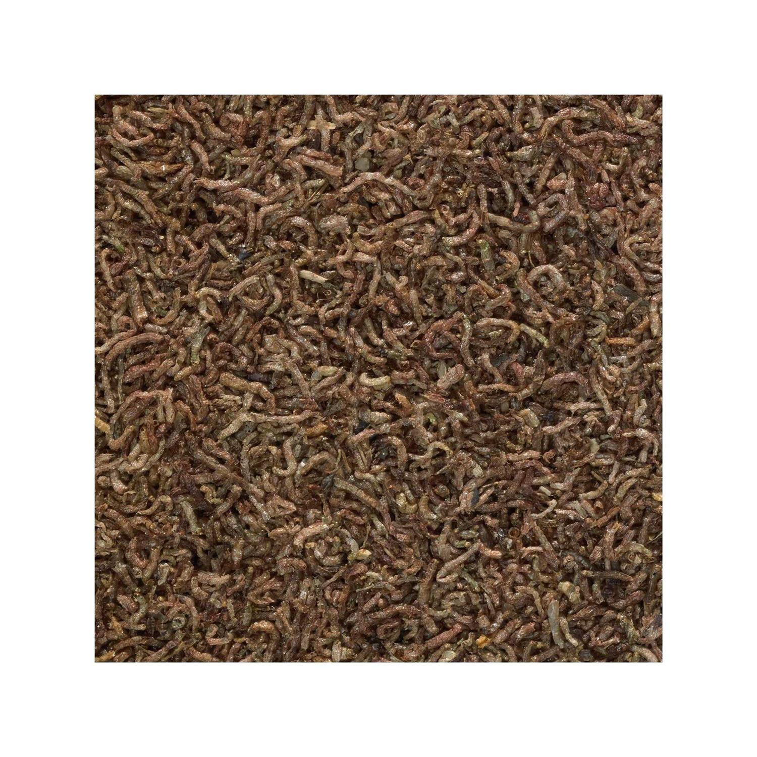 Tetra Bloodworms Freeze Dried Fish Food - Nail Gallerys