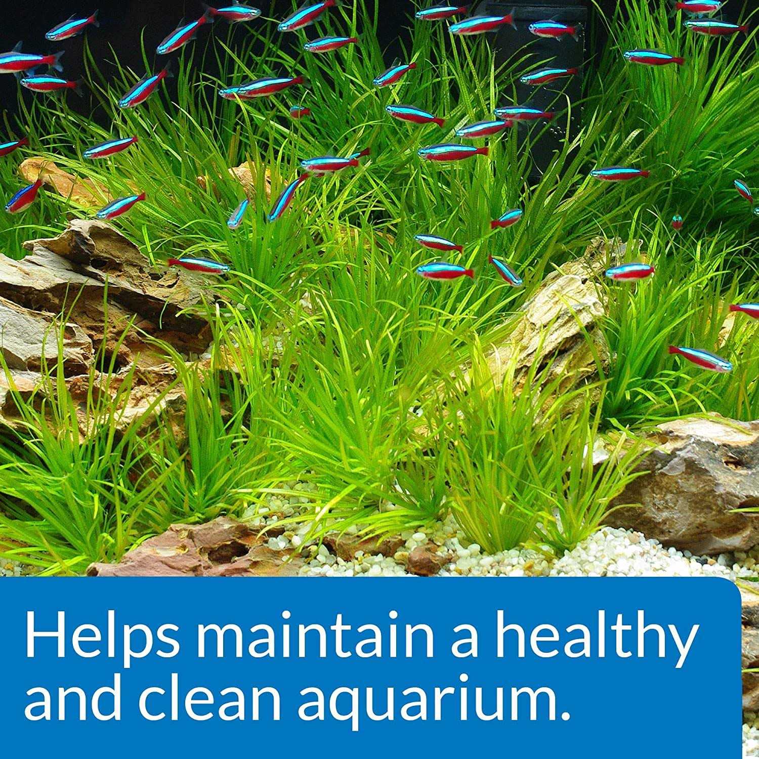 API Aquarium Start Up Pack - Nail Gallerys