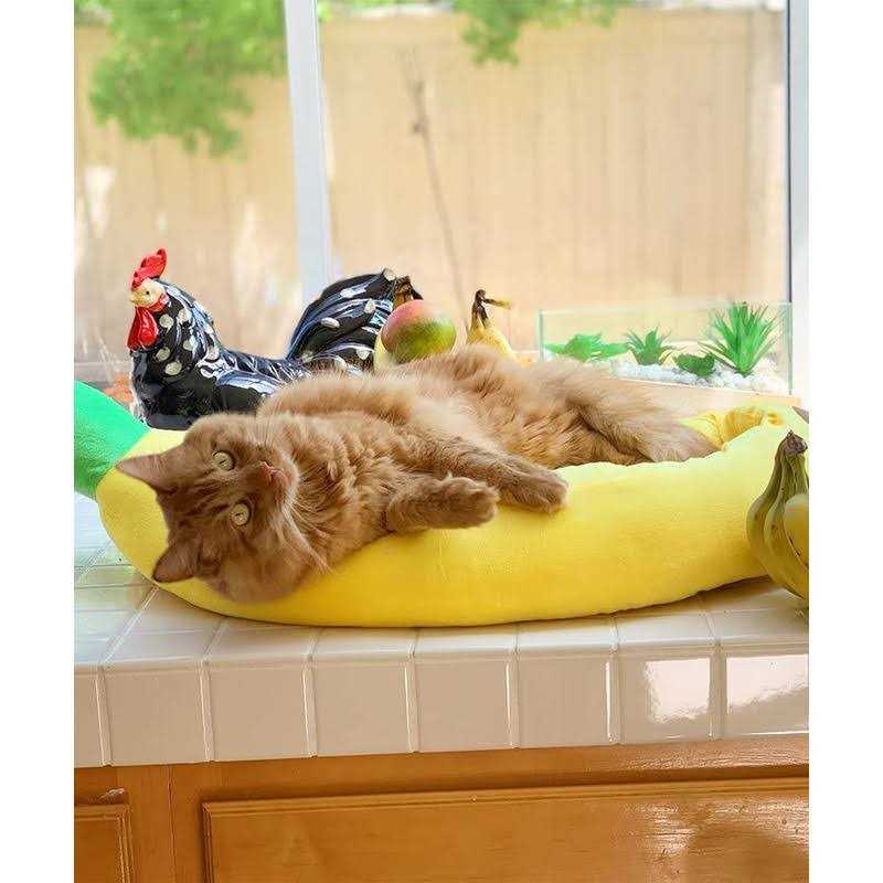 Silicute Dog Bed Cat Bed Pet Bed Comfortable and Washable in Banana Shape and Color w/Removable Cushion - Nail Gallerys
