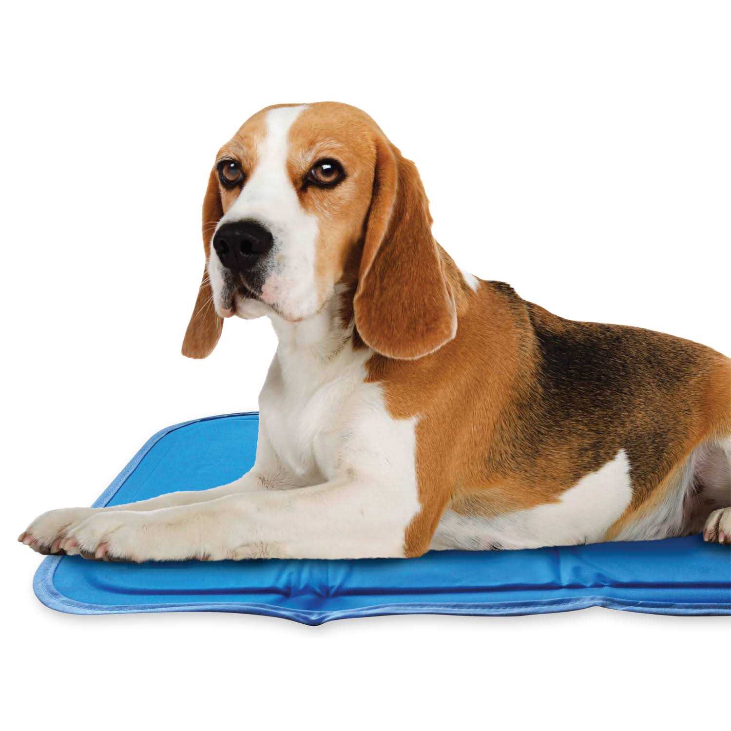 Green Pet Shop Cool Pet Pad - Nail Gallerys