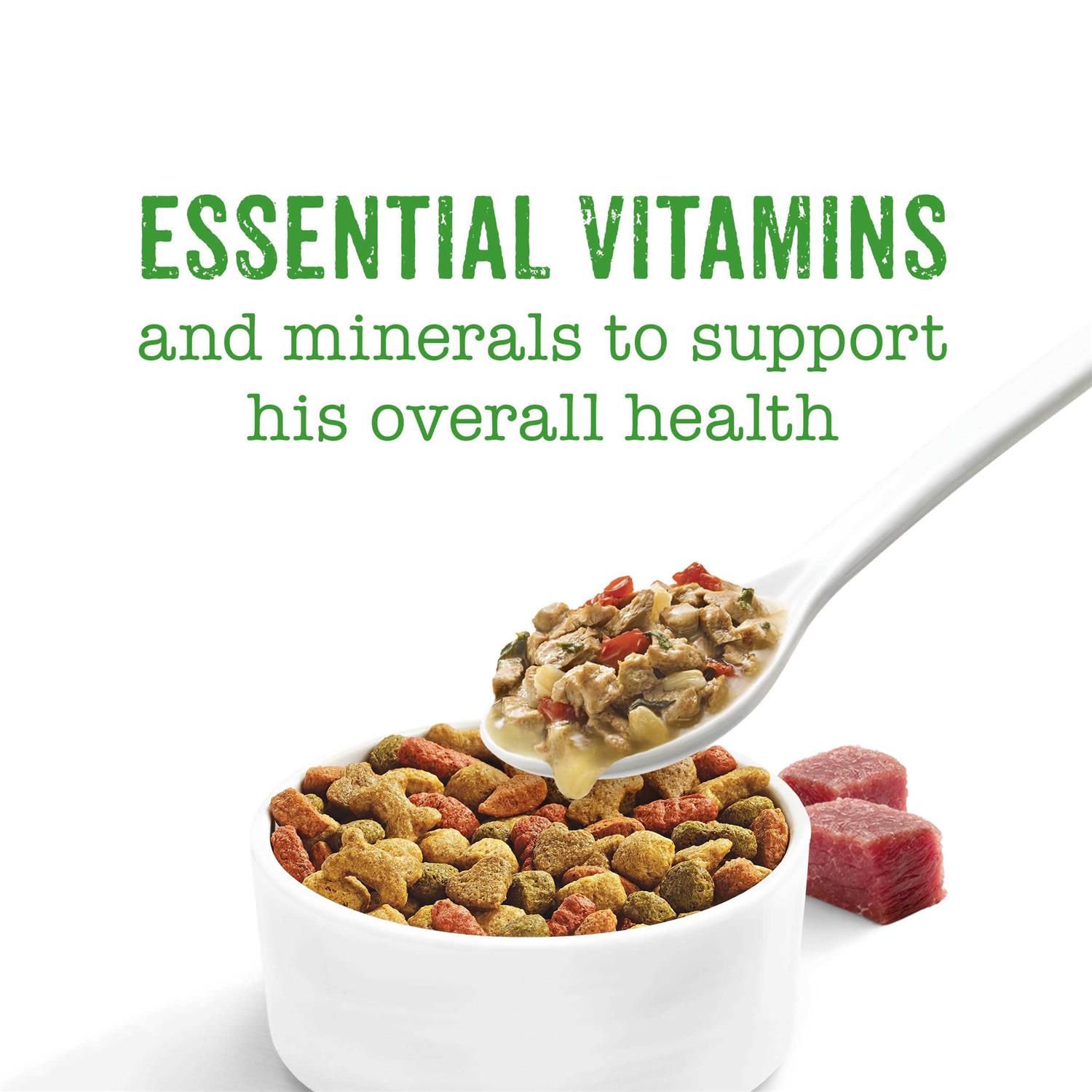 Purina Beneful Medleys Wet Dog Food - Nail Gallerys